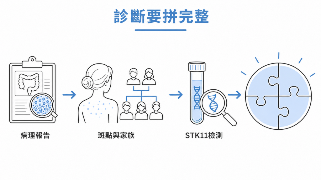 PJS 診斷依病理報告、斑點與家族史及 STK11 檢測逐步拼完整