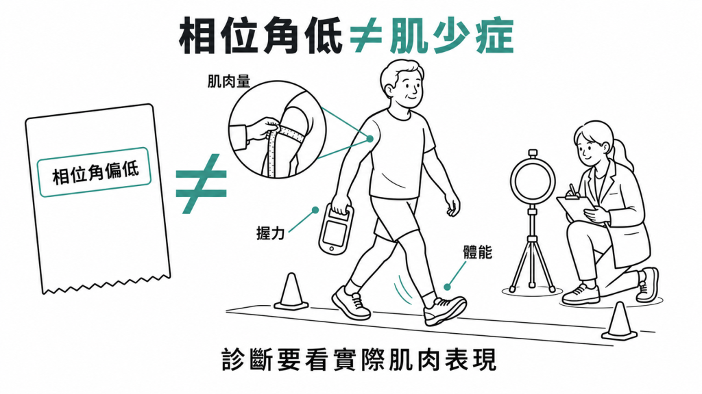 相位角偏低不等於肌少症,診斷要看肌肉量、握力與體能表現的示意圖