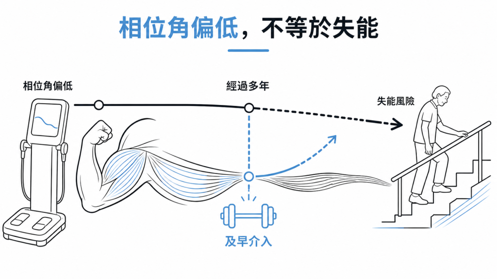相位角偏低到失能之間要經過多年，中途及早介入可以改變走向