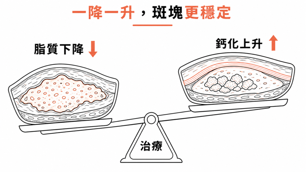 蹺蹺板示意:治療下脂質成分下降、鈣化成分上升