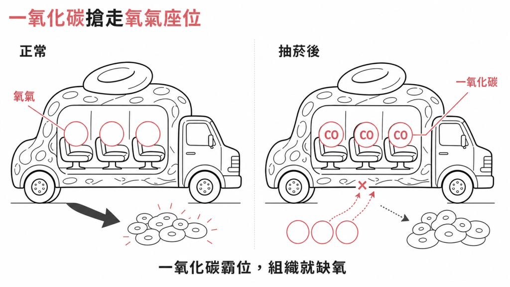 一氧化碳占據血紅素座位,組織因此缺氧
