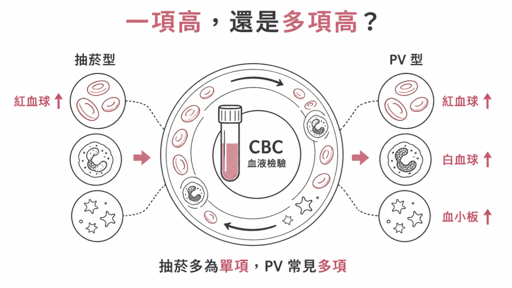 抽菸多為單項紅血球偏高,PV 常見多項血球同時增多
