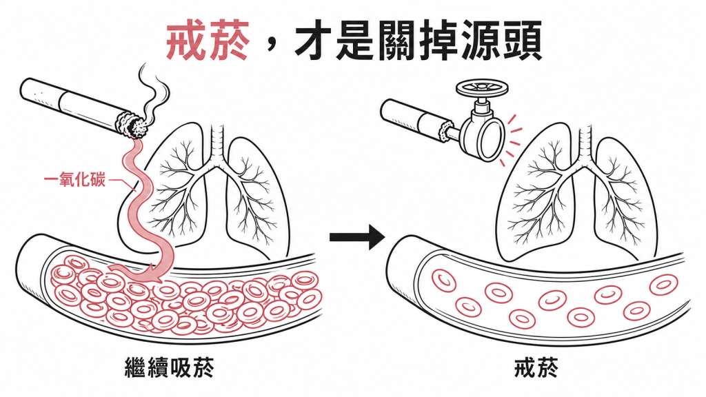 戒菸關掉一氧化碳來源,紅血球不必再代償性增生
