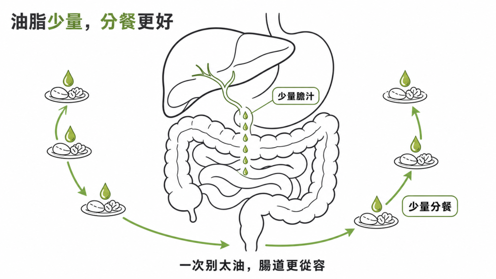 膽囊切除後把油脂分散到多餐、少量多次進食的飲食調整示意圖