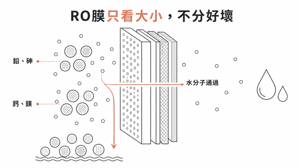 RO 逆滲透膜只依分子大小攔截,鉛砷與鈣鎂一併被擋下的示意圖