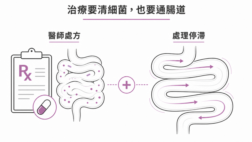 抗生素依醫師處方並同時處理腸道停滯的治療圖解