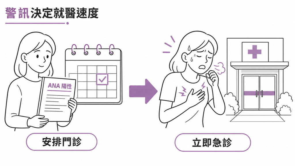 ANA 陽性後依身體警訊決定安排門診或立即急診
