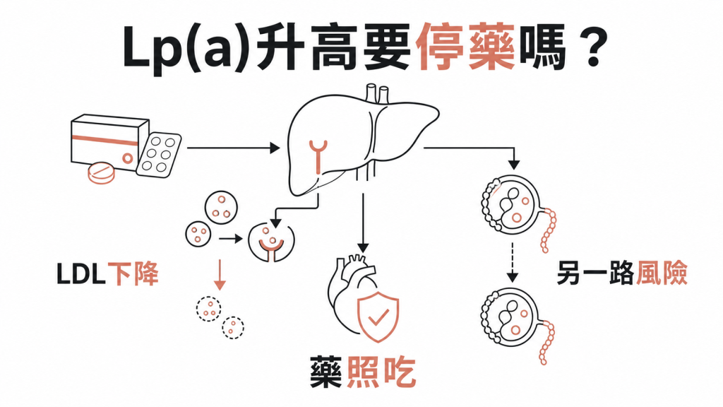 圖解 statin 讓 LDL 下降但顧不到脂蛋白(a) 這一路風險,Lp(a) 升高不是停藥的理由
