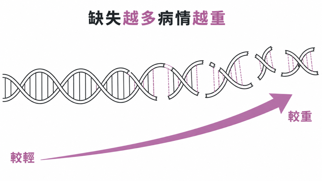 甲型地中海貧血基因缺失越多病情越重示意圖