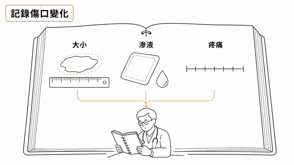 記錄靜脈性腿部潰瘍的大小、滲液與疼痛變化