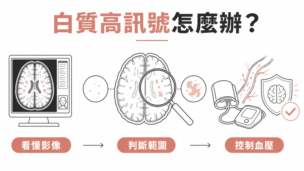 白質高訊號怎麼辦?從看懂腦部 MRI 影像、判斷範圍到控制血壓的三步驟圖解