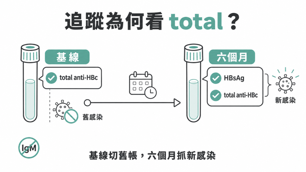 針扎後兩管血的分工:基線驗 total anti-HBc 切開舊感染,約六個月再驗 HBsAg 與 total anti-HBc 抓新感染