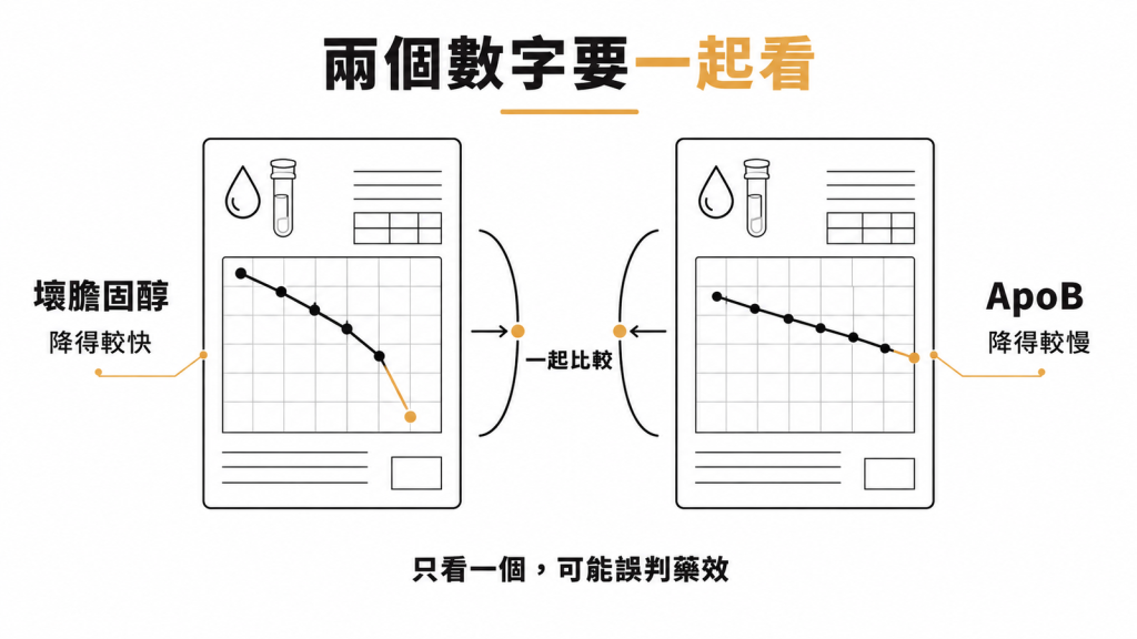 回診抽血要把壞膽固醇與 ApoB 兩個數字一起看,只看一個容易誤判藥效