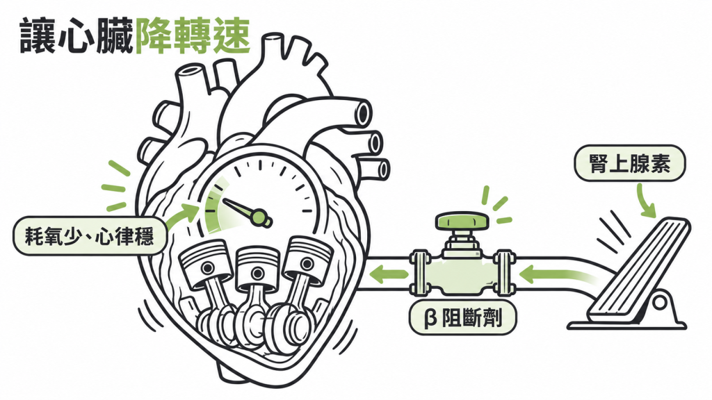 心臟畫成一台引擎,腎上腺素油門被 β 阻斷劑調鈍,轉速錶指針往下,旁邊標示耗氧減少、心律較穩