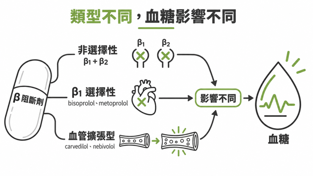 三欄比較圖,並列非選擇性、β1 選擇性、血管擴張型三類 β 阻斷劑,各欄寫出作用部位與代表藥名