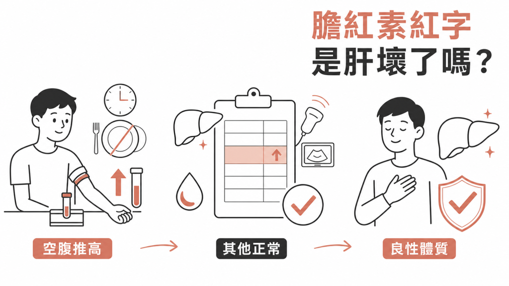 膽紅素紅字是肝壞了嗎?空腹推高、其他項目正常、良性體質三段式圖解
