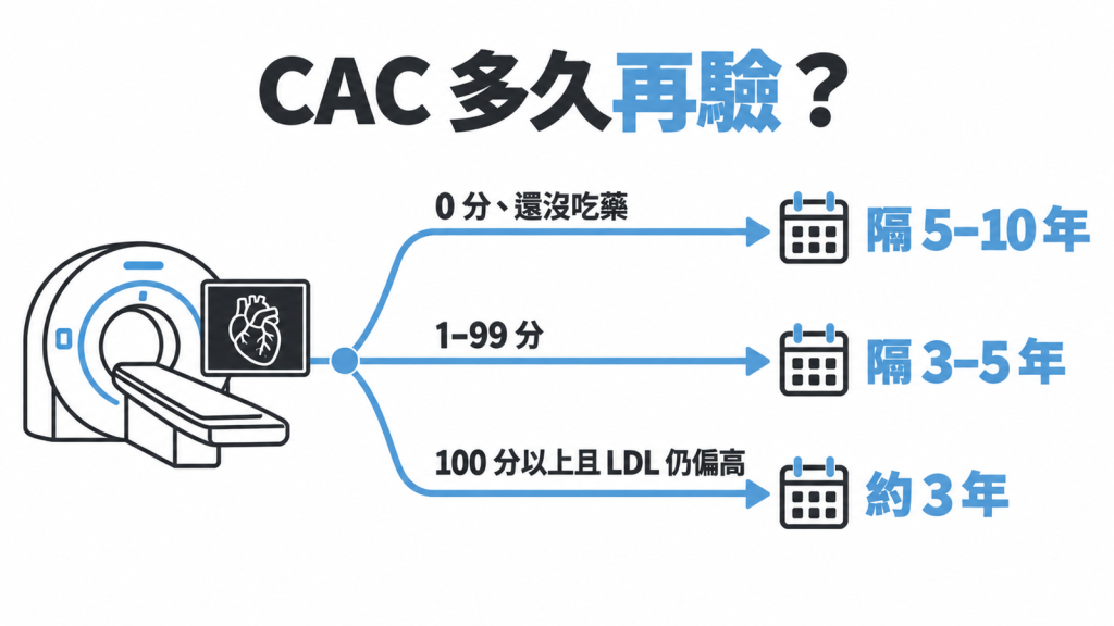 心臟鈣化分數重驗間隔:0 分未用藥隔 5 到 10 年,1 到 99 分隔 3 到 5 年,100 分以上且 LDL 仍高約 3 年