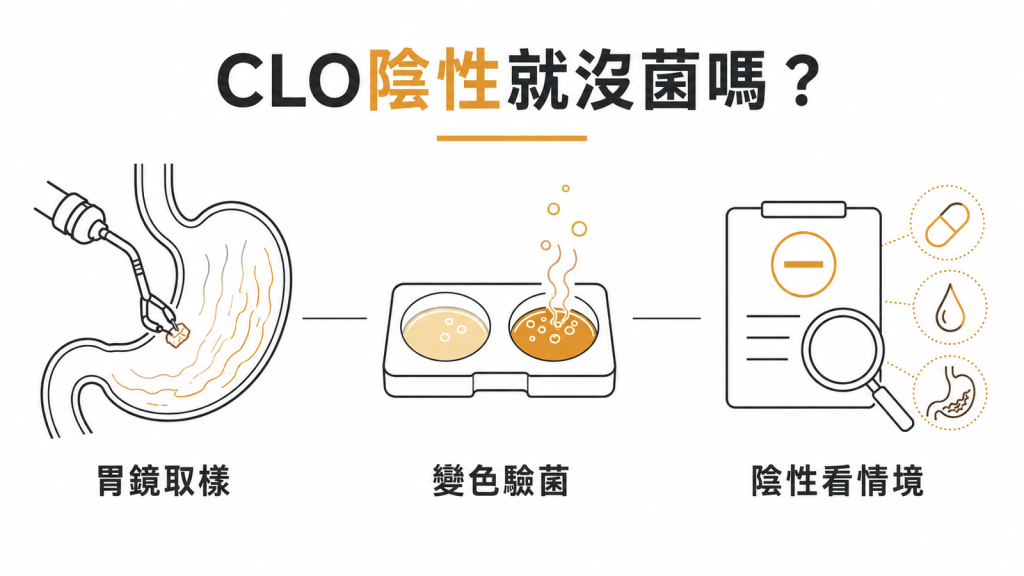CLO test 幽門桿菌檢測流程示意圖：胃鏡取樣、試劑變色驗菌、陰性結果要看情境