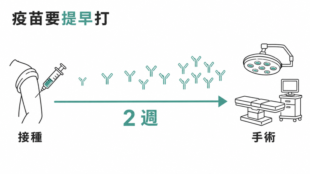 疫苗最好在手術前 2 週以上完成接種，抗體需要時間才起得來的時間軸示意圖