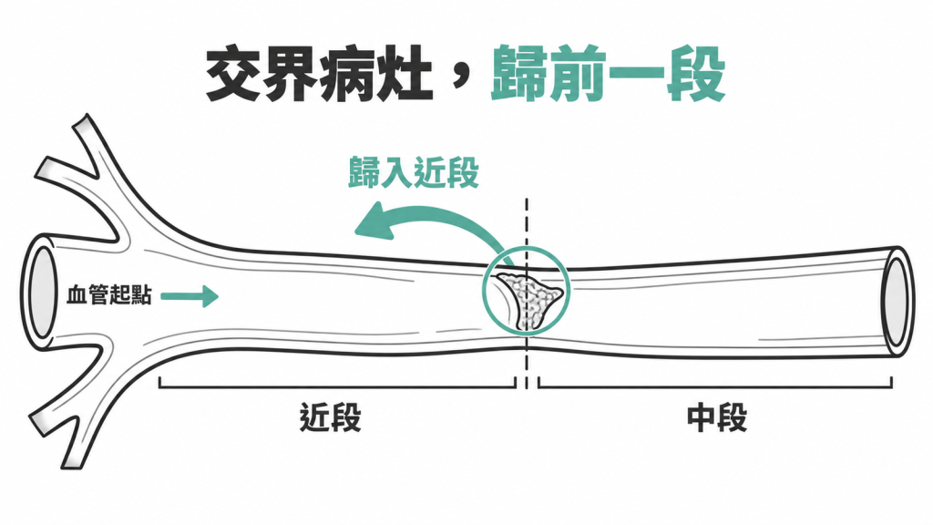 血管近段與中段交界處有一處斑塊,箭頭指向近段,說明交界處病灶歸前一段的規則
