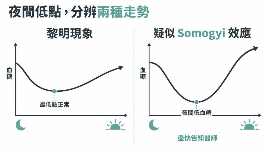 流程圖依夜間血糖曲線分成三條路:資料不足先補測、夜間最低點正常後上升是黎明現象、夜裡低血糖後早上變高疑似 Somogyi 效應