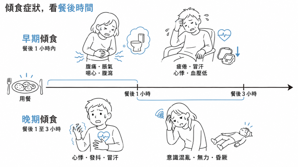 早期傾食與晚期傾食的餐後時間軸與症狀對照