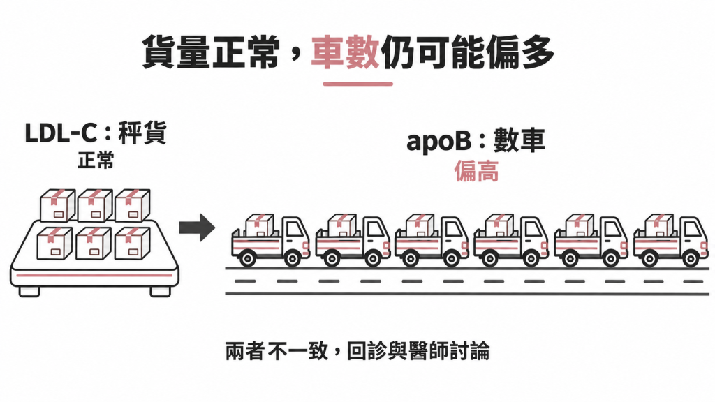 LDL-C 秤貨正常時 apoB 數車仍可能偏高，兩者不一致就回診和醫師討論