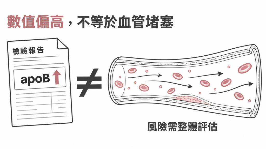 報告上 apoB 數值偏高不等於血管已經塞住，要放回整體風險裡評估