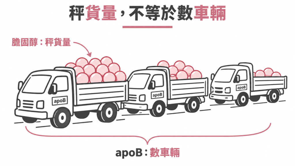 膽固醇數字是秤車上的貨量，apoB 是數路上有幾台車，兩者不能互相取代