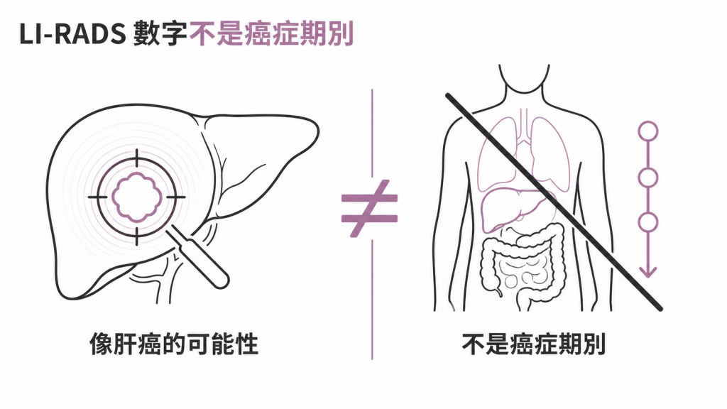 LI-RADS 的數字代表病灶像不像肝癌的可能性,不是癌症的期別