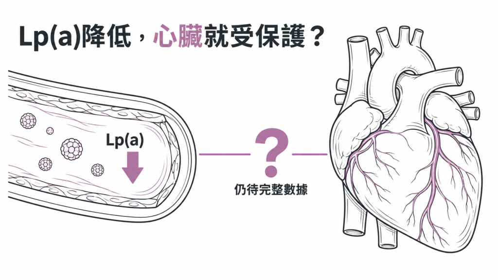Lp(a) 降低之後心臟會不會受到保護，仍待完整試驗數據