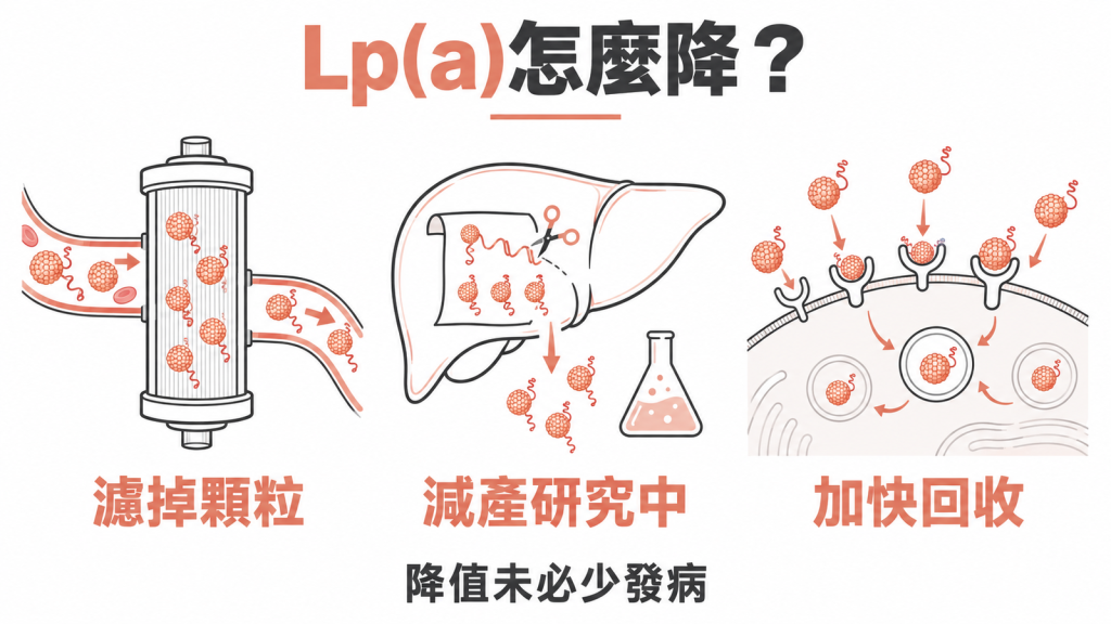 降 Lp(a) 的三條路資訊圖：血脂分離術濾掉顆粒、siRNA 減產仍在研究、PCSK9 抑制劑加快回收