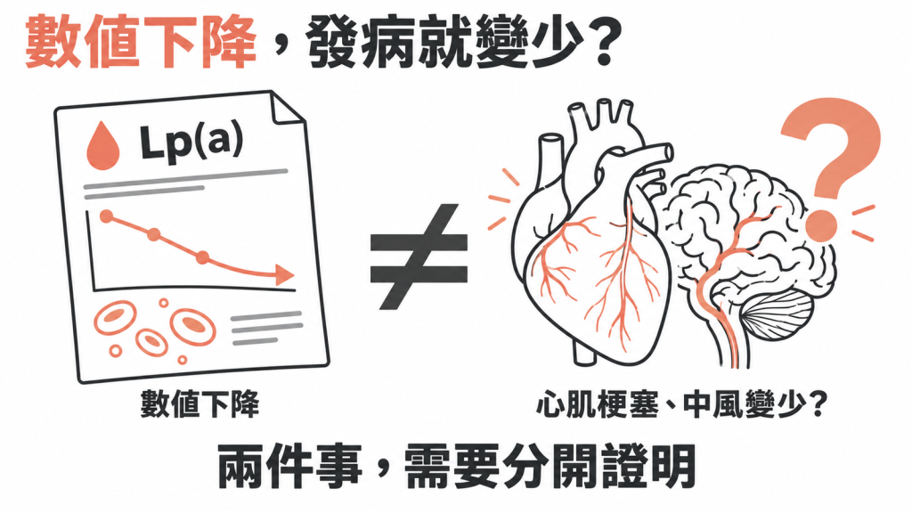 Lp(a) 數值下降不等於心肌梗塞與中風變少，兩件事需要分開證明