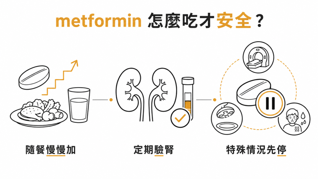 metformin 用藥重點資訊圖:隨餐慢慢加量、定期追蹤腎功能、特殊情況先暫停