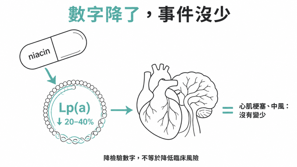 菸鹼酸讓 Lp(a) 下降兩到四成,但心肌梗塞與中風沒有變少的對照示意圖