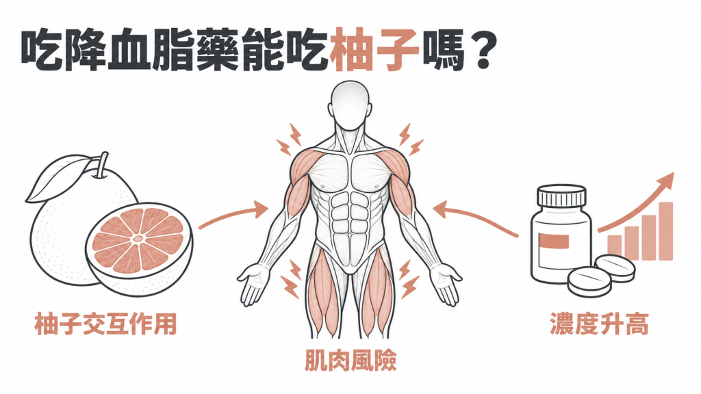 柚子與降血脂藥交互作用衛教封面,說明三種 statin 會被柚子拉高濃度,肌肉出狀況要停藥並驗 CK