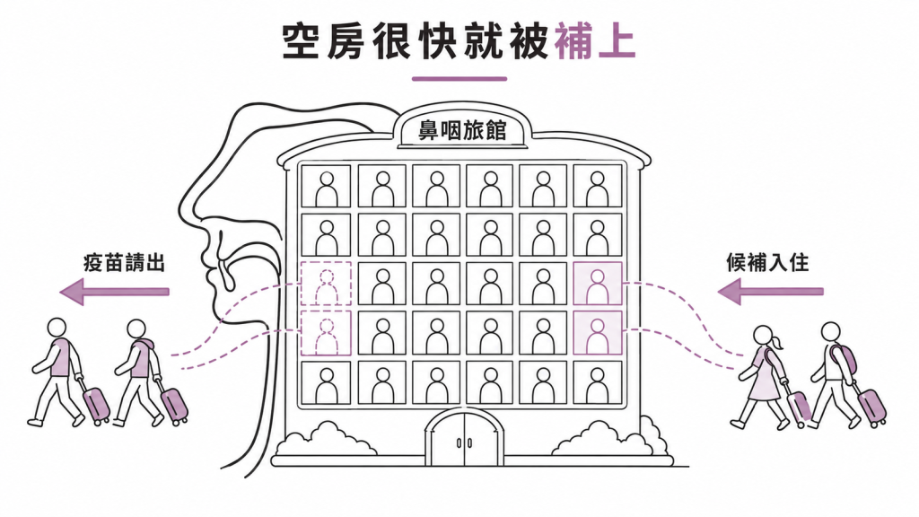 鼻咽像房間數固定的旅館,疫苗把幾組血清型請出去、候補的血清型就住進來的示意圖