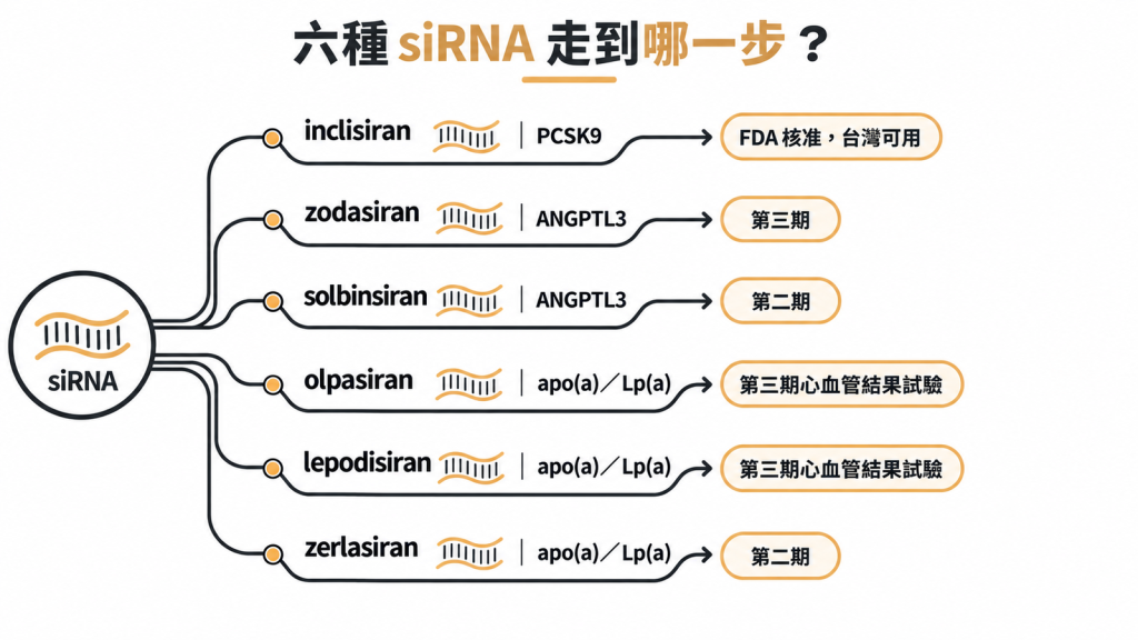 六種 siRNA 降血脂藥的標靶與進度：inclisiran 已核准，zodasiran、olpasiran、lepodisiran 在第三期，solbinsiran、zerlasiran 在第二期