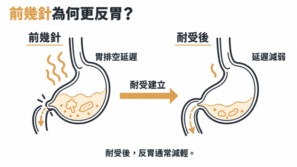 胃與大腦示意圖:胃排空變慢、迷走神經傳訊到下視丘降低食慾,旁有反胃程度隨針數逐漸下降的曲線