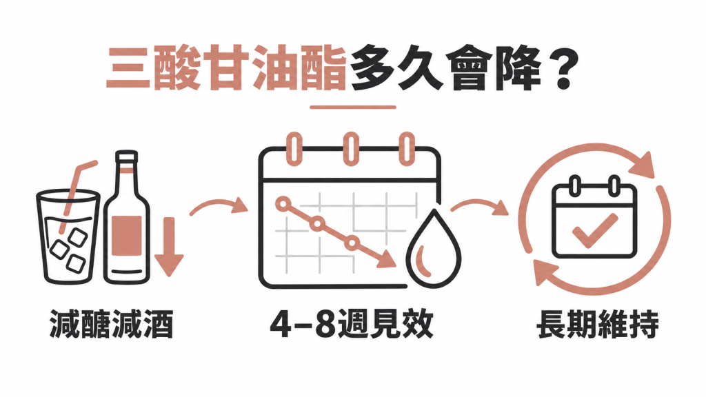 三酸甘油酯下降時間軸圖解：四到八週看得到變化，三到六個月才見真章