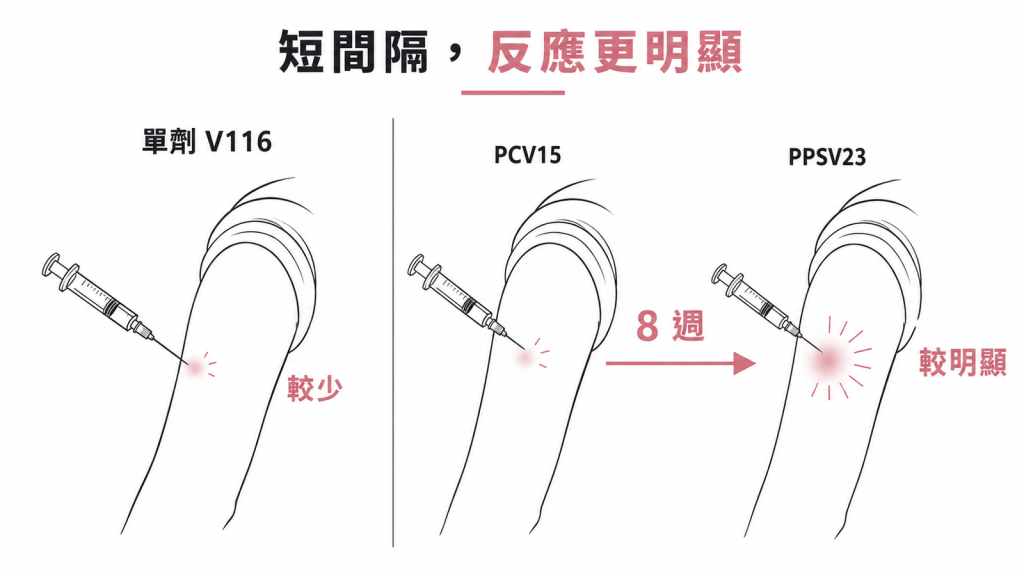 單劑 V116 的注射部位反應較少，PCV15 間隔 8 週再打 PPSV23 反應較明顯的示意圖