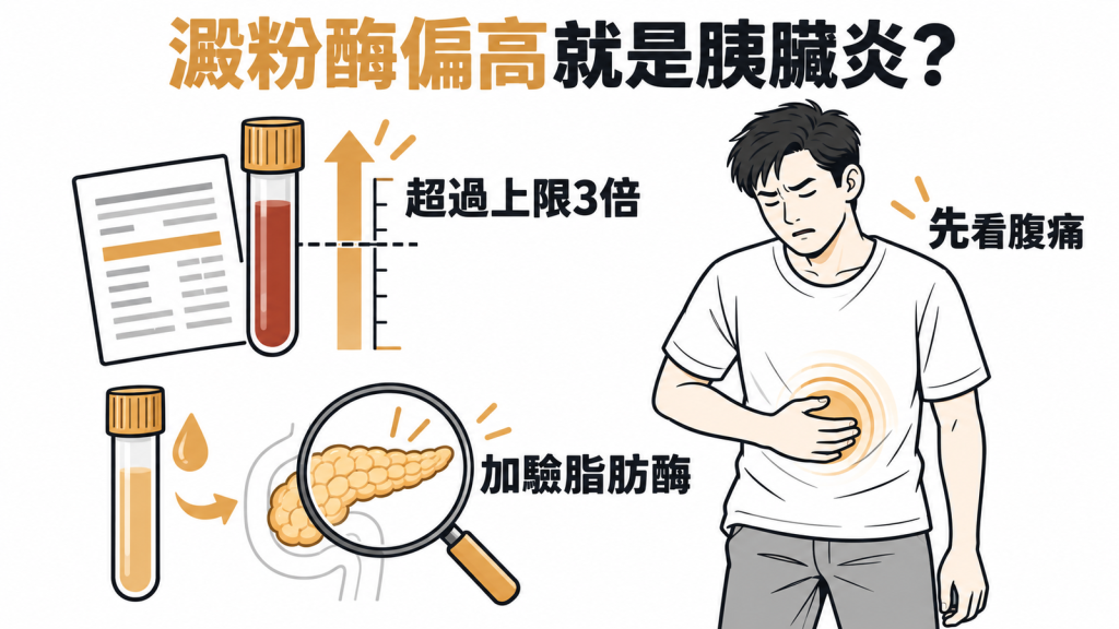 澱粉酶偏高衛教封面：超過參考上限 3 倍才是急性胰臟炎的警訊，只是輕微偏高時，要先找腎臟、唾液腺等其他原因
