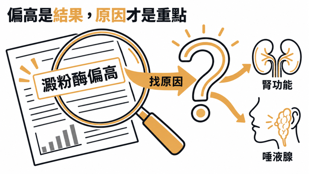 對照圖：澱粉酶偏高的紅字分別連到腎臟與唾液腺，各自標出真正要處理的方向，提醒先找背後原因