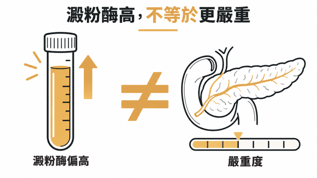 迷思與真相左右對照圖：列出四個關於澱粉酶的常見誤解，右邊各自對應正確說法