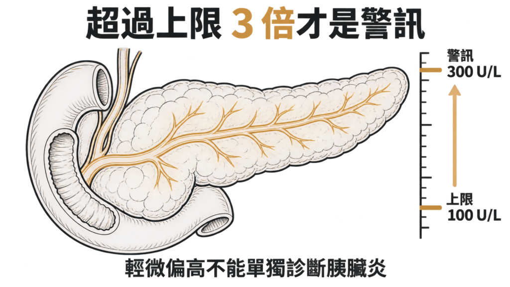 數值刻度圖標出參考上限 100 與 3 倍門檻 300：輕微偏高區用黃色，超過 300 的區段用紅色標示警訊