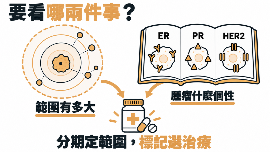 分期看範圍有多大、生物標記看腫瘤個性,兩者合起來決定治療方向