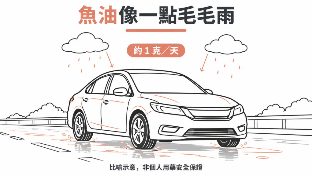 一天約 1 克的魚油像路面飄了一點毛毛雨,車子不會打滑