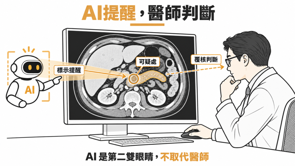 助胰見在電腦斷層影像上標示可疑區域,由醫師覆核