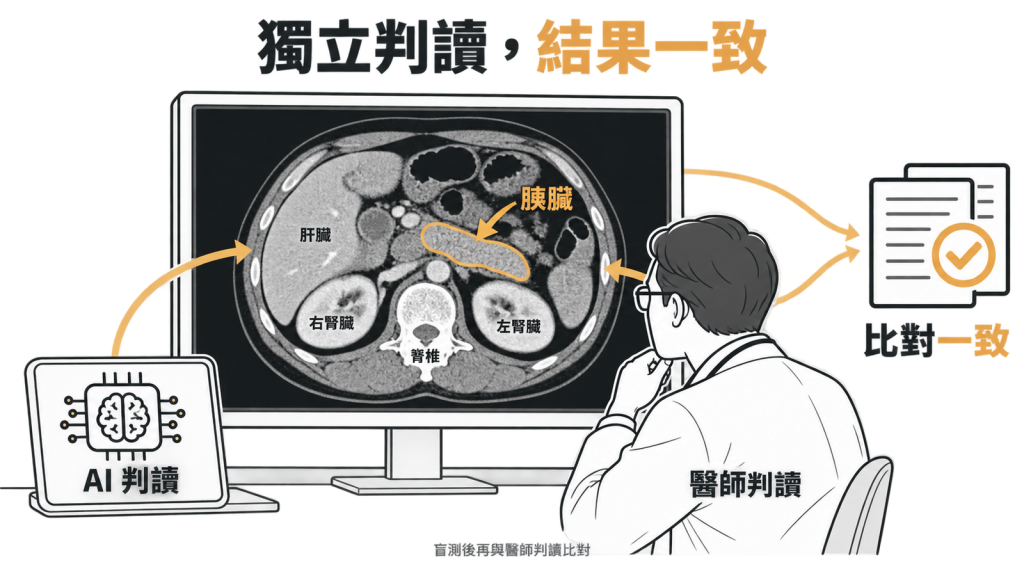 上線前盲測:AI 與醫師各自判讀同一批影像後比對