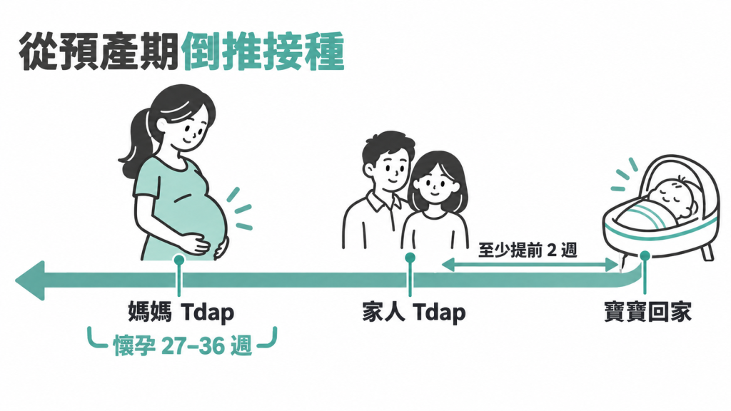 時間軸從懷孕 27 週延伸到預產期,標出媽媽接種 Tdap 的區間,以及家人在寶寶回家前兩週接種